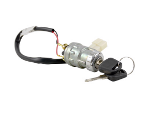 Picture of StarEV OEM 2SW100 Ignition Switch - Unique (2 position)(2 keys) for Classic/Diablo / Magellan